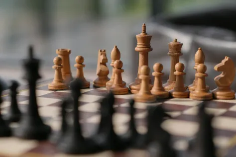 Photo of a similar item: Kangaroo 15.7 in Folding Wooden Chess Set