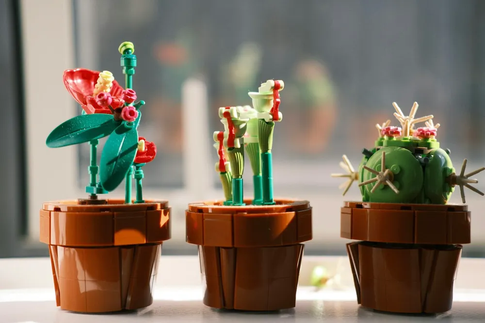 Photo of a similar item: LEGO Botanicals Succulents