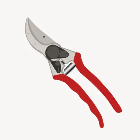 Photo of a similar item: Felco F-2 Classic Pruning Shears