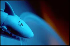 Photo of a similar item: Primal Hatch Megalodon Hatching Shark Egg