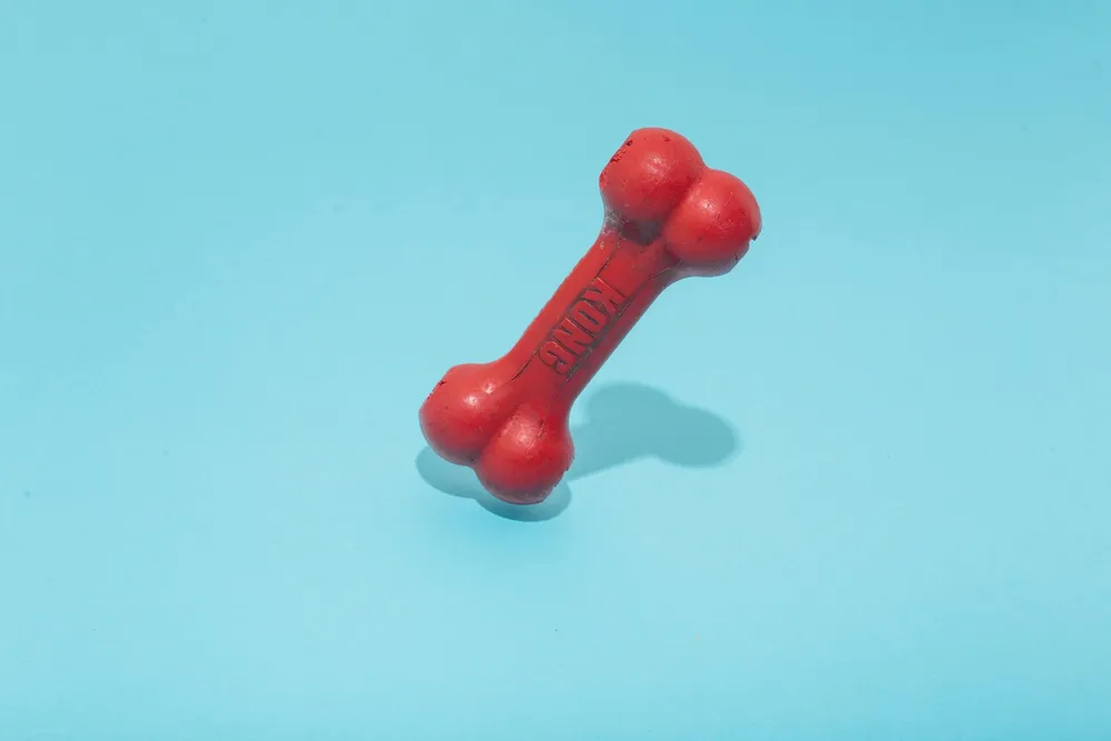 Photo of a similar item: KONG Goodie Bone, Red, Medium