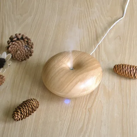 Photo of a similar item: Vitruvi Stone Diffuser, White