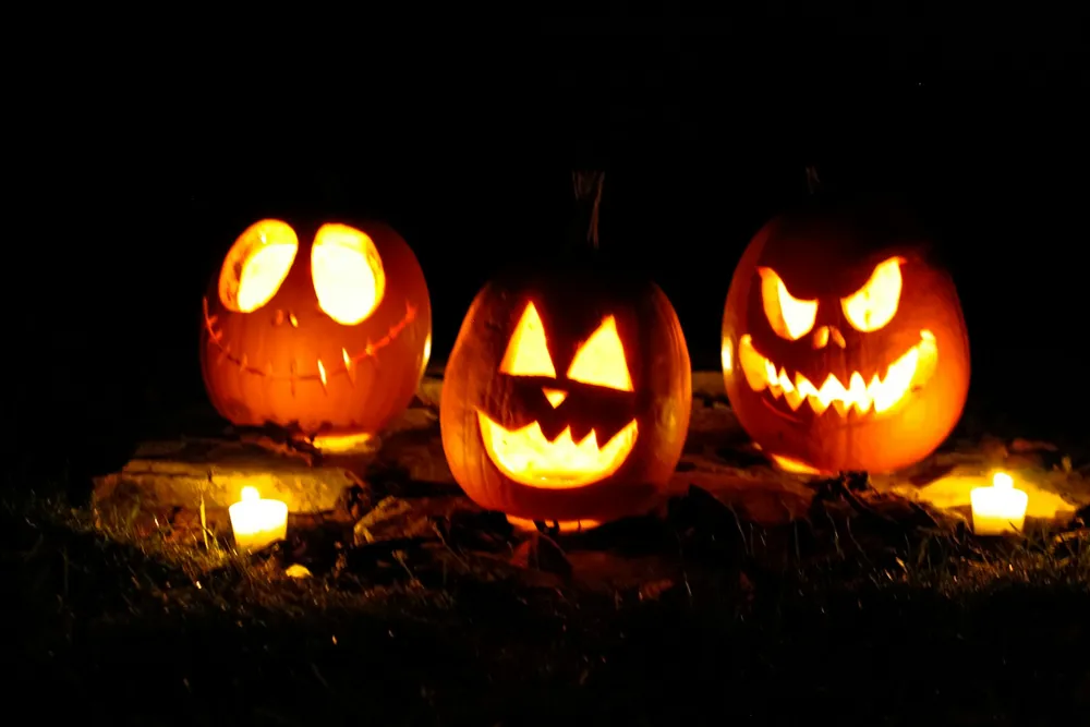 Photo of a similar item: HOME MOST Jack-O'-Lantern Lights with Remote, 2 Pack