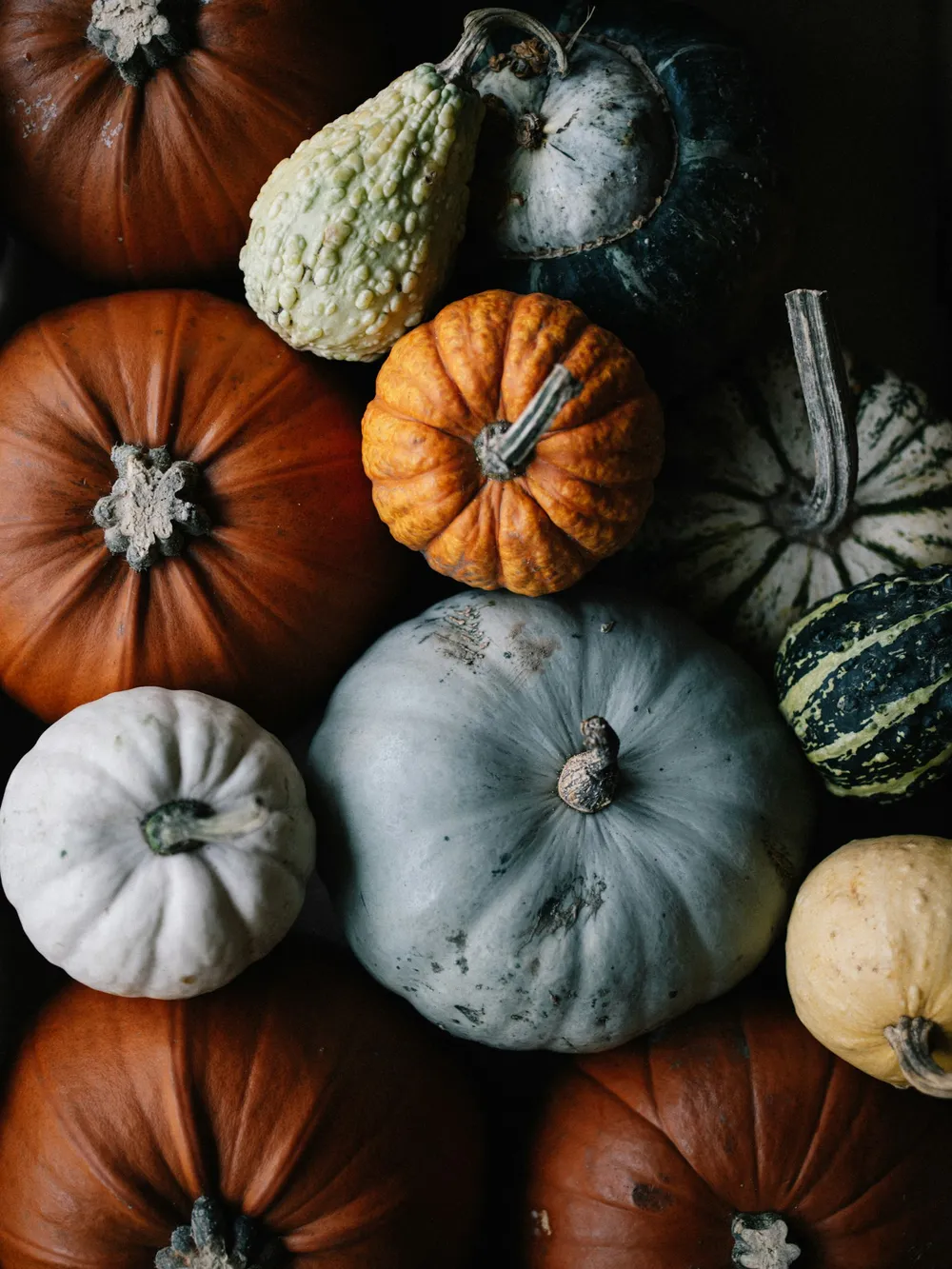 Photo of a similar item: Artgar Faux Pumpkin Decor Set, 23 Pieces