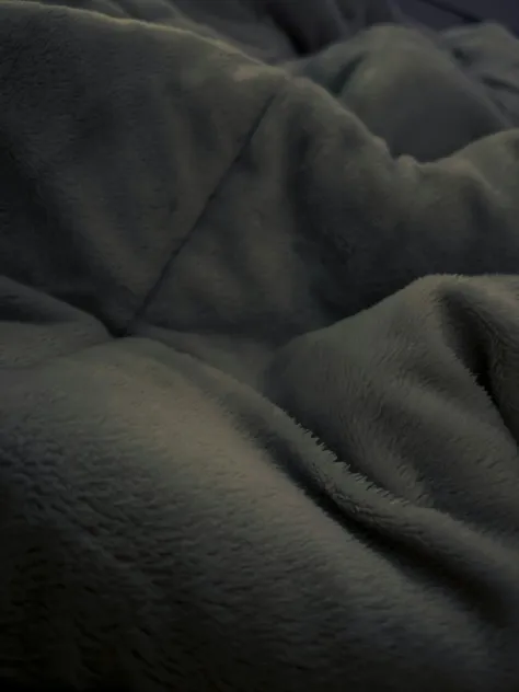 Photo of a similar item: Sunbeam Royal Luxe Microplush Heated Throw, 50 x 60 in