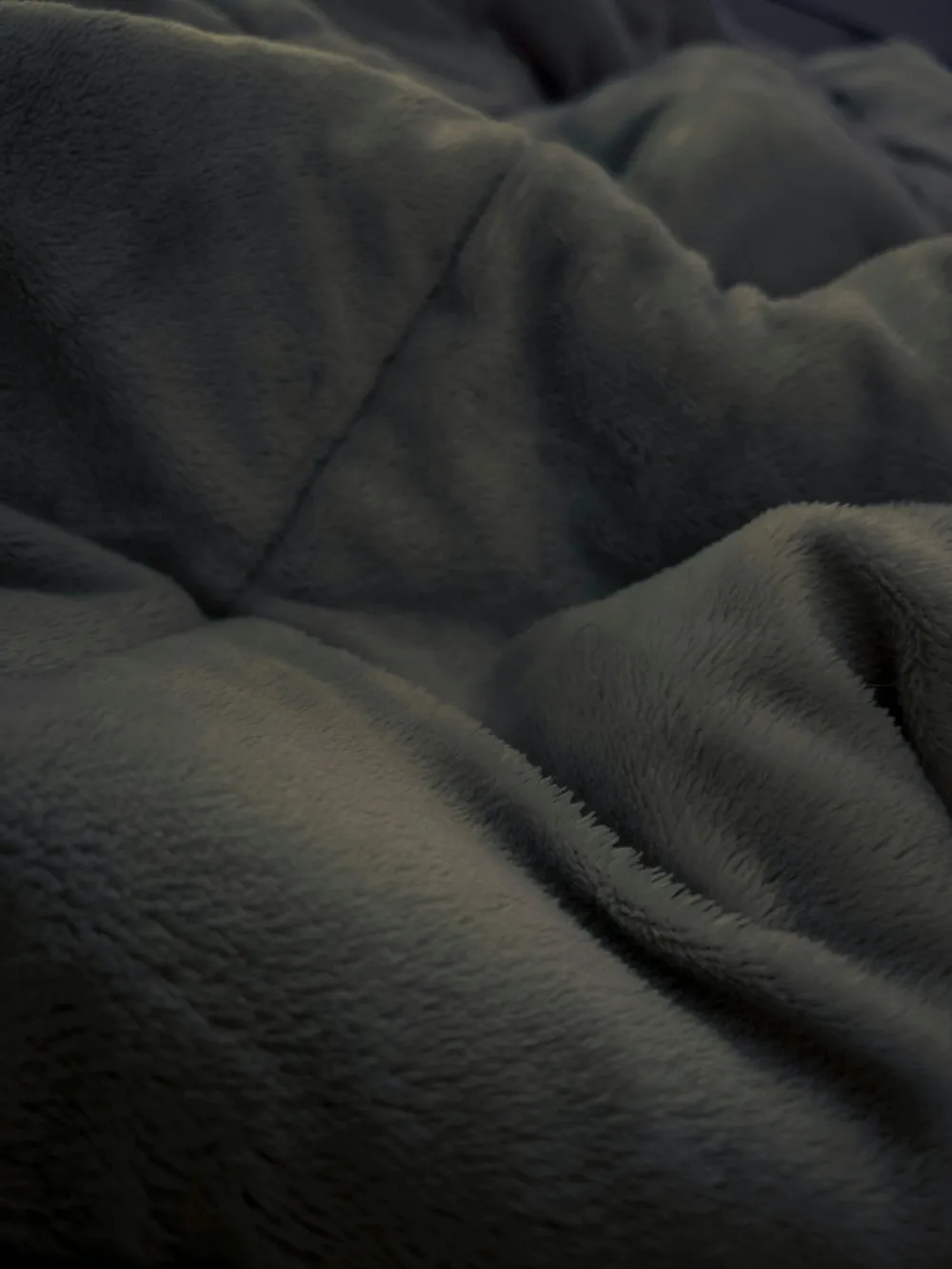 Photo of a similar item: Sunbeam Royal Luxe Microplush Heated Throw, 50 x 60 in