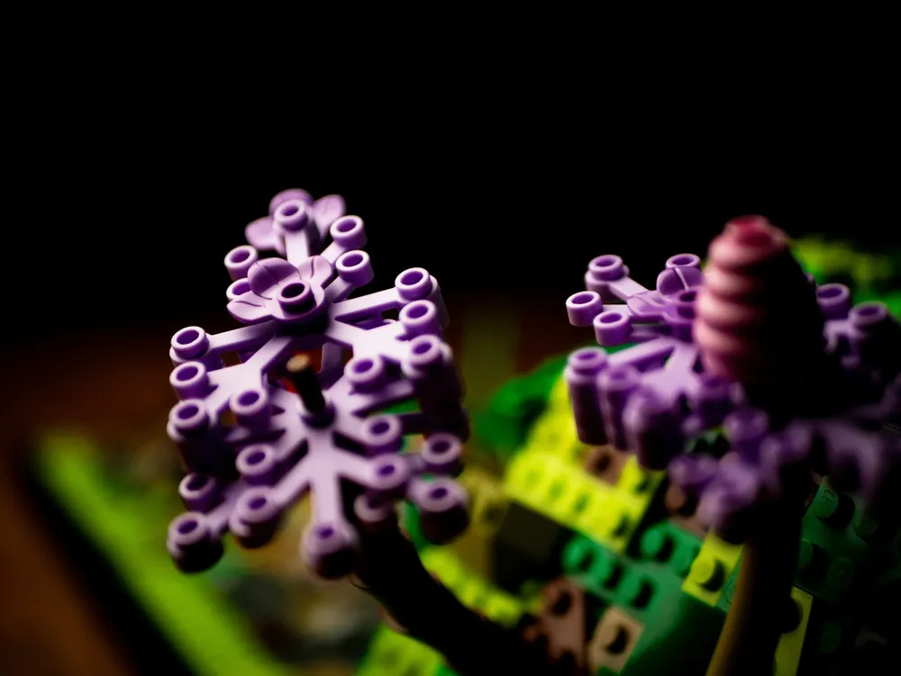 Photo of a similar item: LEGO Botanicals Bonsai Tree