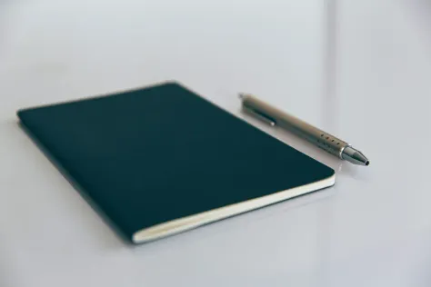 Photo of a similar item: Moleskine Classic Notebook, Large, Ruled, Black