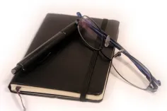 Photo of a similar item: FINTIE Plush-Lined Eyeglasses Stand, Blossom