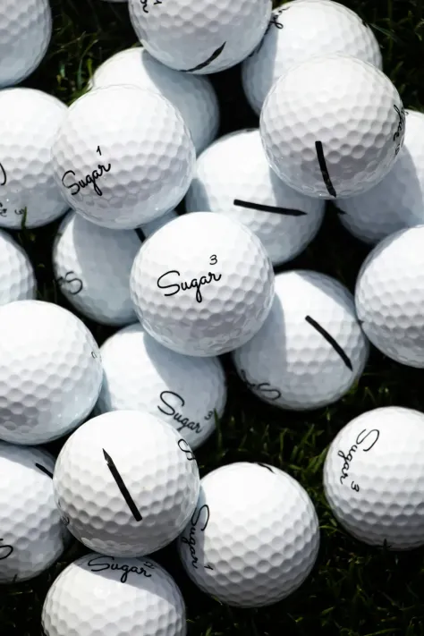 Photo of a similar item: Titleist Pro V1 Golf Balls, 12 Pack