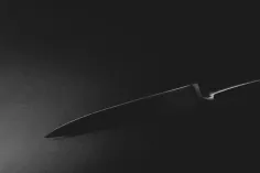 Photo of a similar item: Victorinox Fibrox Pro 8 in Chef's Knife