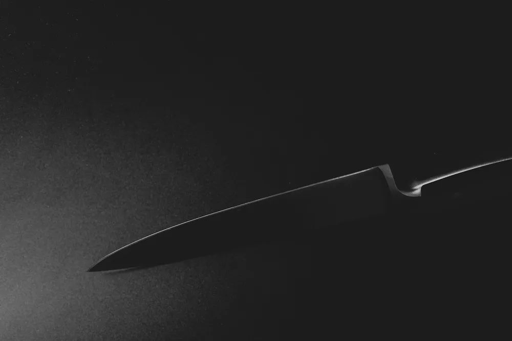 Photo of a similar item: Victorinox Fibrox Pro 8 in Chef's Knife