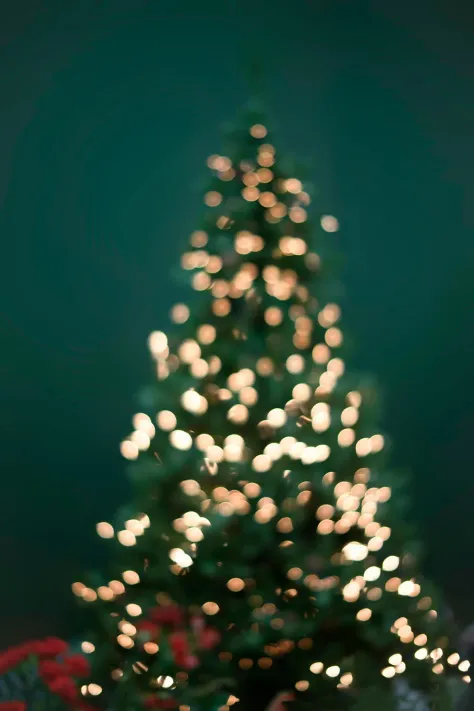 Photo of a similar item: YULETIME 200 Warm White LED Christmas Lights, 66 ft