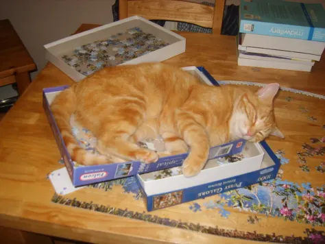 Photo of a similar item: Cat Heaven by Cynthia Rylant