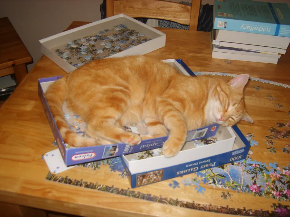 Photo of a similar item: Cat Heaven by Cynthia Rylant