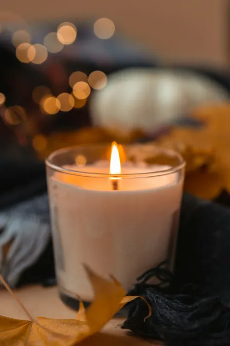 Photo of a similar item: Yankee Candle Spiced Pumpkin, 22 oz Large Jar
