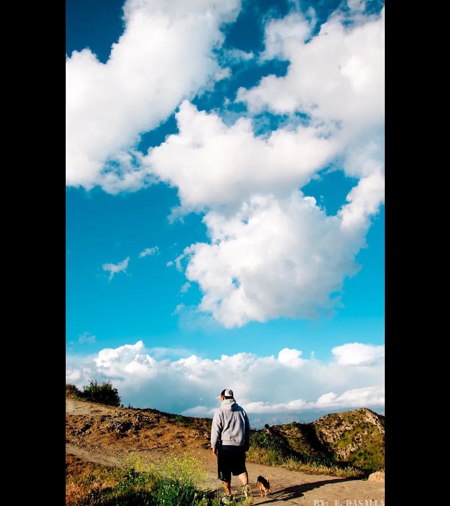 Photo of a similar item: Dog Heaven by Cynthia Rylant