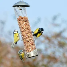 Photo of a similar item: Kingsyard All-Metal Mesh Tube Bird Feeder