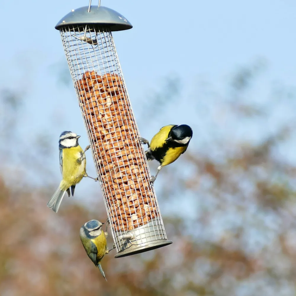 Photo of a similar item: Kingsyard All-Metal Mesh Tube Bird Feeder