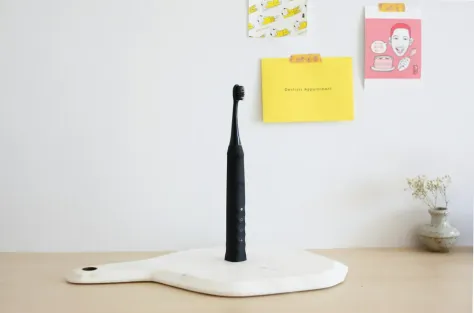 Photo of a similar item: Oral-B iO2 Rechargeable Electric Toothbrush, Pure White