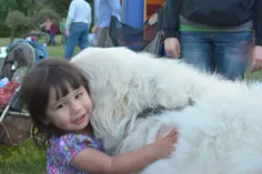 Photo of a similar item: The Invisible Leash: An Invisible String Story About the Loss of a Pet