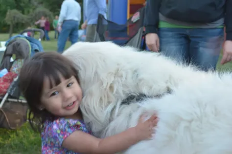 Photo of a similar item: The Invisible Leash: An Invisible String Story About the Loss of a Pet