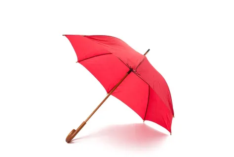 Photo of a similar item: Repel Windproof Travel Umbrella