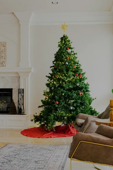 Photo of a similar item: National Tree Company 7.5 ft Pre-Lit Dunhill Fir