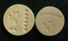 Photo of a similar item: Pearhead Pet Paw Print Keepsake Ornament Kit
