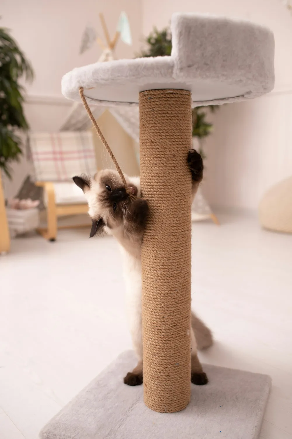 Photo of a similar item: SmartCat Ultimate Scratching Post, 32 in