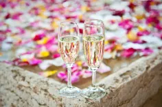 Photo of a similar item: Khen Gold-Rim Champagne Coupe Glasses, Set of 4