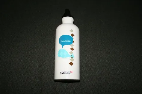 Photo of a similar item: SIGG Traveller Aluminum Water Bottle, 20 oz